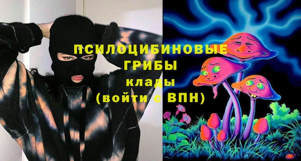 скорость mdpv Белокуриха